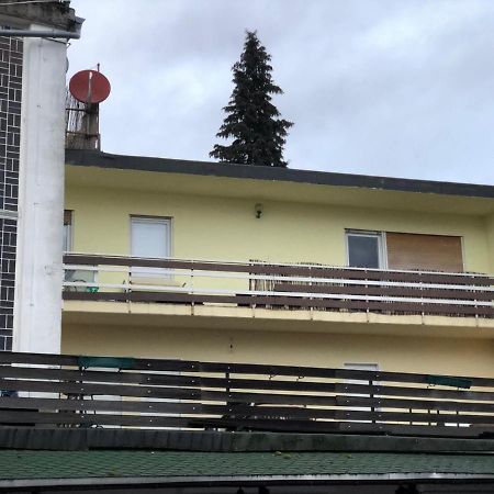 Apartments & Rooms Bad Soden Bad Soden am Taunus Buitenkant foto